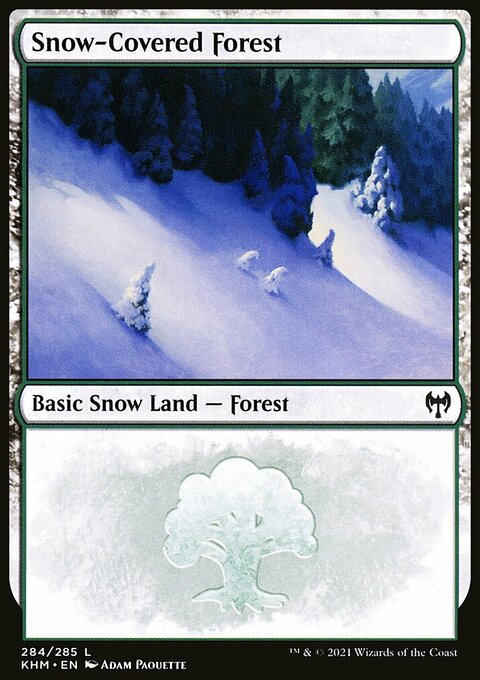 Snow-Covered Forest